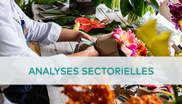 Analyses sectorielles